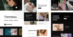 Themebau – Minimal Portfolio & Agency WordPress Theme With Lifetime Update.